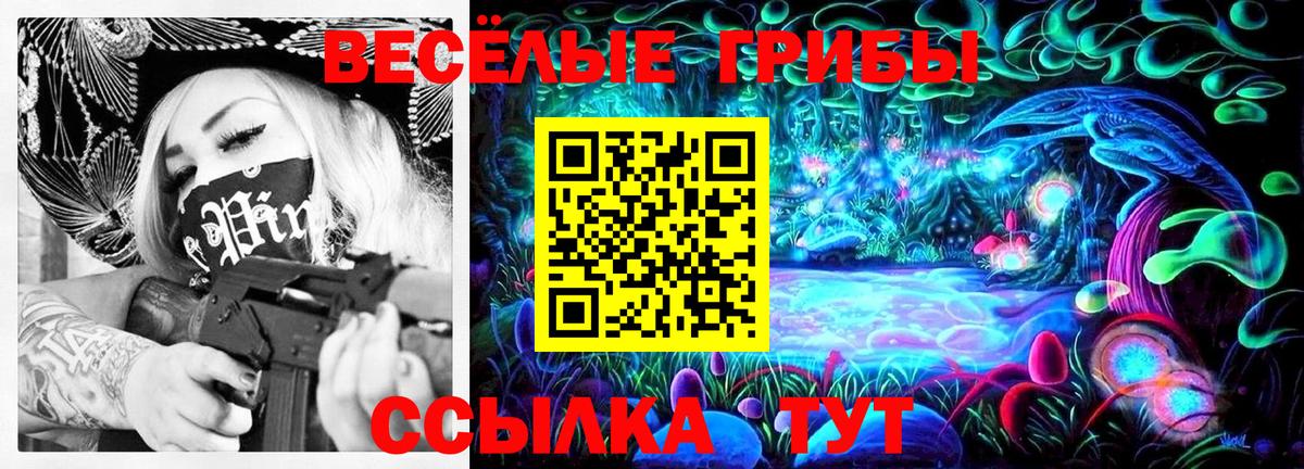 Галлюциногенные грибы Psilocybine cubensis  Вход с VPN  Междуреченск 
