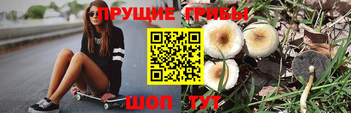 Галлюциногенные грибы GOLDEN TEACHER Междуреченск